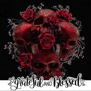 Meet your Posher, Missy